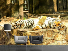 Load image into Gallery viewer, Photo Wallpaper The Siberian Tiger