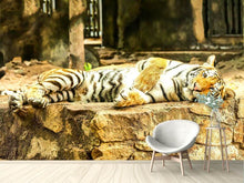 Load image into Gallery viewer, Photo Wallpaper The Siberian Tiger