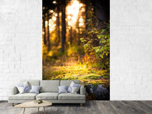 Load image into Gallery viewer, Photo Wallpaper The Forest In The Background