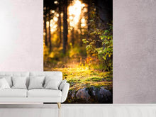 Load image into Gallery viewer, Photo Wallpaper The Forest In The Background