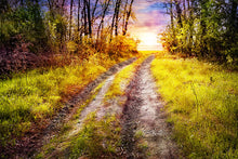 Load image into Gallery viewer, Photo Wallpaper The Forest Path