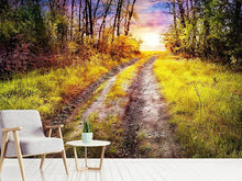 Load image into Gallery viewer, Photo Wallpaper The Forest Path