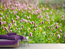 Load image into Gallery viewer, Photo Wallpaper Clover