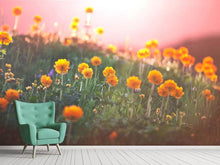 Load image into Gallery viewer, Photo Wallpaper The mountain Meadow