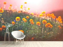 Load image into Gallery viewer, Photo Wallpaper The mountain Meadow