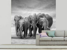 Load image into Gallery viewer, Photo Wallpaper The Elephants