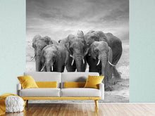 Load image into Gallery viewer, Photo Wallpaper The Elephants