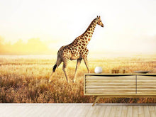 Load image into Gallery viewer, Photo Wallpaper The Giraffe