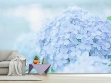 Load image into Gallery viewer, Photo Wallpaper The Hydrangea