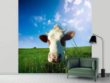 Load image into Gallery viewer, Photo Wallpaper The Cow