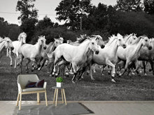 Load image into Gallery viewer, Photo Wallpaper The Mustang Herd