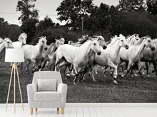 Load image into Gallery viewer, Photo Wallpaper The Mustang Herd