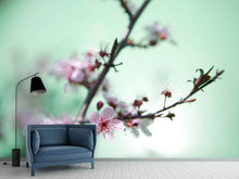Load image into Gallery viewer, Photo Wallpaper Beautiful Japanese Cherry Blossom