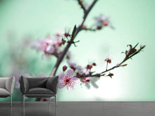 Load image into Gallery viewer, Photo Wallpaper Beautiful Japanese Cherry Blossom