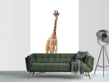 Load image into Gallery viewer, Photo Wallpaper The Long Giraffe