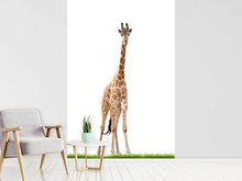Load image into Gallery viewer, Photo Wallpaper The Long Giraffe