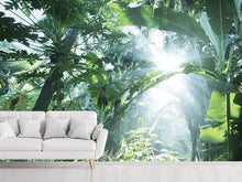 Load image into Gallery viewer, Photo Wallpaper Jungle Star