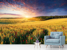 Load image into Gallery viewer, Photo Wallpaper A Flower Field At Sunrise