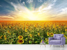 Load image into Gallery viewer, Photo Wallpaper A Field Full Of Sunflowers