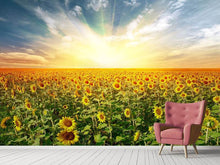 Load image into Gallery viewer, Photo Wallpaper A Field Full Of Sunflowers