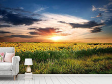Load image into Gallery viewer, Photo Wallpaper A Field Of Sunflowers