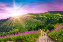 Load image into Gallery viewer, Photo Wallpaper A Summer Landscape At Sunrise