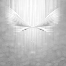 Load image into Gallery viewer, Photo Wallpaper Angel Wings