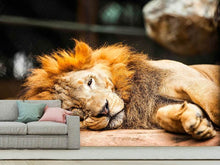 Load image into Gallery viewer, Photo Wallpaper Relaxed Lion