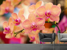 Load image into Gallery viewer, Photo Wallpaper Exotic Orchids