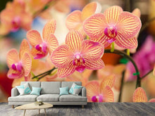 Load image into Gallery viewer, Photo Wallpaper Exotic Orchids