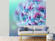 Load image into Gallery viewer, Photo Wallpaper Colored Orchids