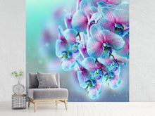 Load image into Gallery viewer, Photo Wallpaper Colored Orchids