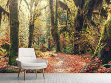 Load image into Gallery viewer, Photo Wallpaper Fairies Forest