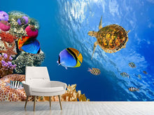 Load image into Gallery viewer, Photo Wallpaper Fish In the Water