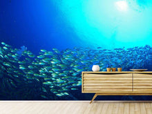 Load image into Gallery viewer, Photo Wallpaper Shoal Of Fish