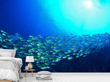Load image into Gallery viewer, Photo Wallpaper Shoal Of Fish