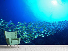 Load image into Gallery viewer, Photo Wallpaper Shoal Of Fish
