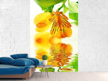 Load image into Gallery viewer, Photo Wallpaper Flowing Orchid Flower