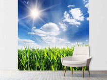 Load image into Gallery viewer, Photo Wallpaper Spring Grass