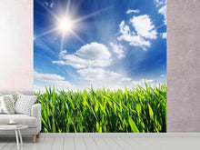 Load image into Gallery viewer, Photo Wallpaper Spring Grass