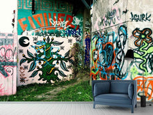 Load image into Gallery viewer, Photo Wallpaper Graffiti In The Backyard