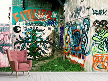Load image into Gallery viewer, Photo Wallpaper Graffiti In The Backyard