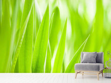 Load image into Gallery viewer, Photo Wallpaper Grass XXL