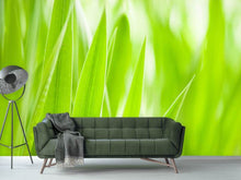 Load image into Gallery viewer, Photo Wallpaper Grass XXL