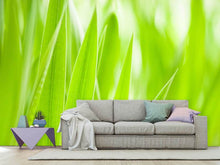 Load image into Gallery viewer, Photo Wallpaper Grass XXL