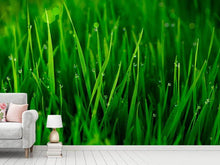Load image into Gallery viewer, Photo Wallpaper Grass With Morning Dew