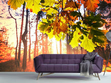 Load image into Gallery viewer, Photo Wallpaper Autumn