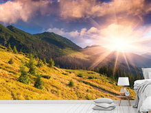 Load image into Gallery viewer, Photo Wallpaper Beginning Of Autumn