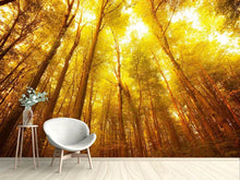 Load image into Gallery viewer, Photo Wallpaper Autumn Forest