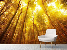 Load image into Gallery viewer, Photo Wallpaper Autumn Forest
